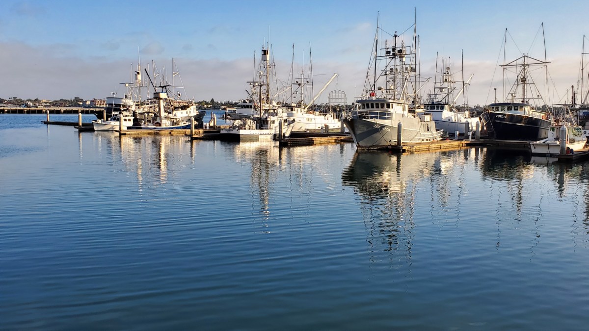 Psa doubling time calculator