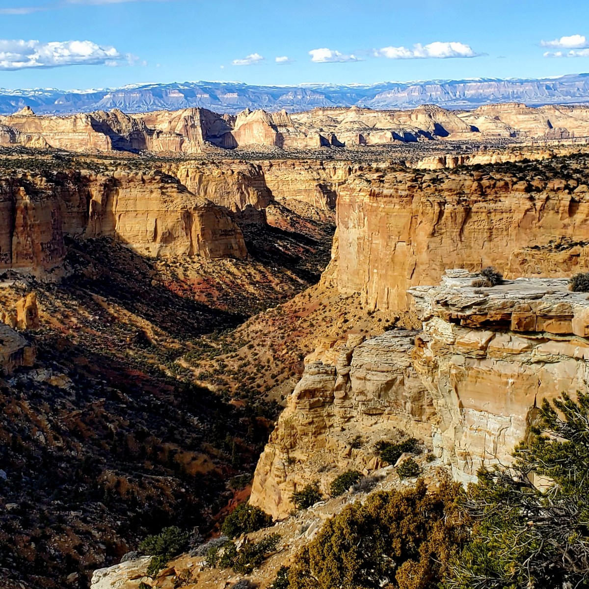 Day 5,502 – PSA&nbsp;Results