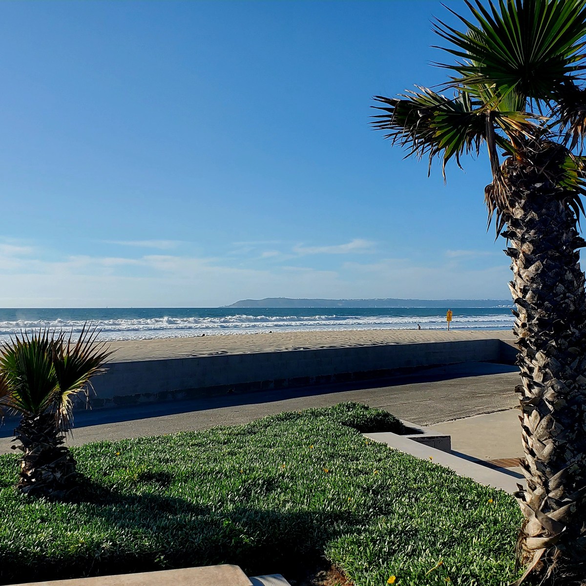 Month 183 – Flu&nbsp;Bug