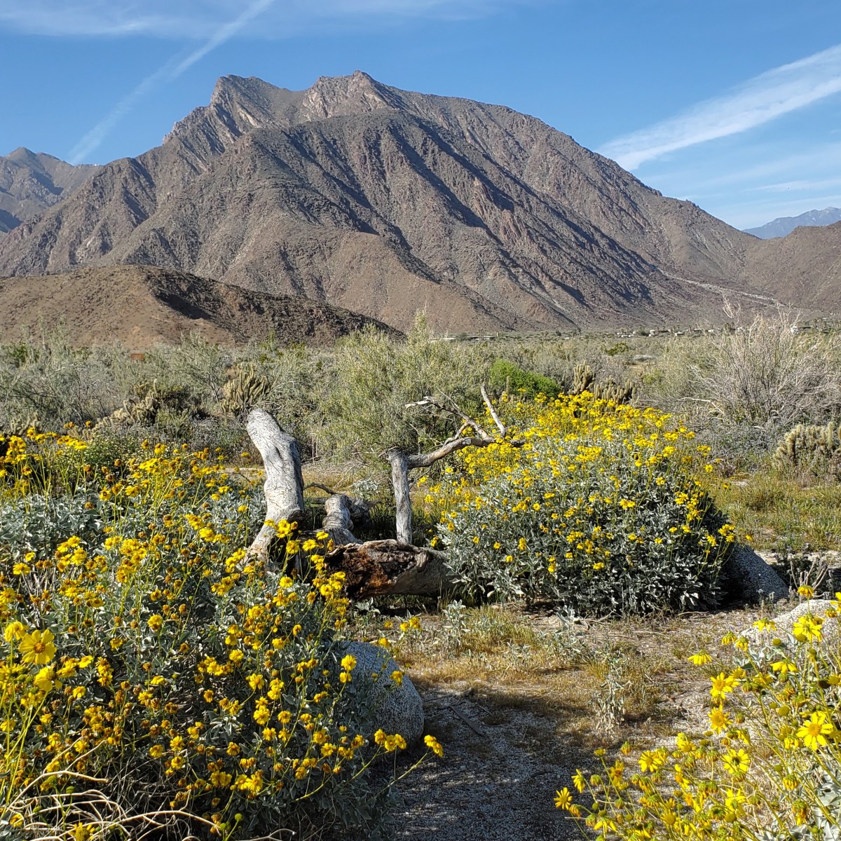 Month 184 – PSMA Explained & Next&nbsp;Steps