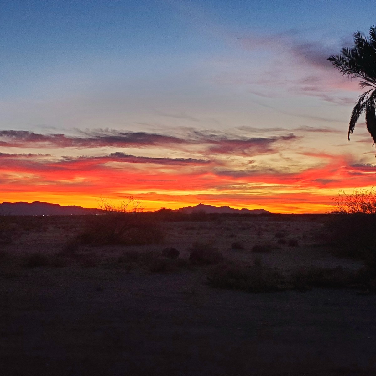 Day 5,593 – PSA&nbsp;Surprises