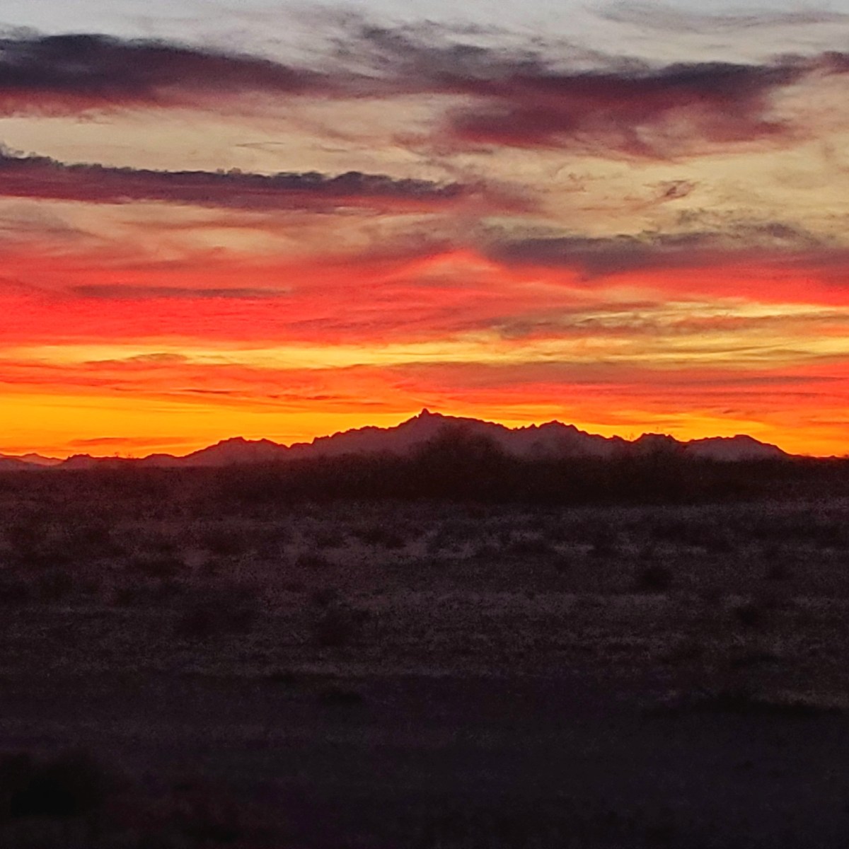 Day 5,593 ¾ – Scan&nbsp;Results