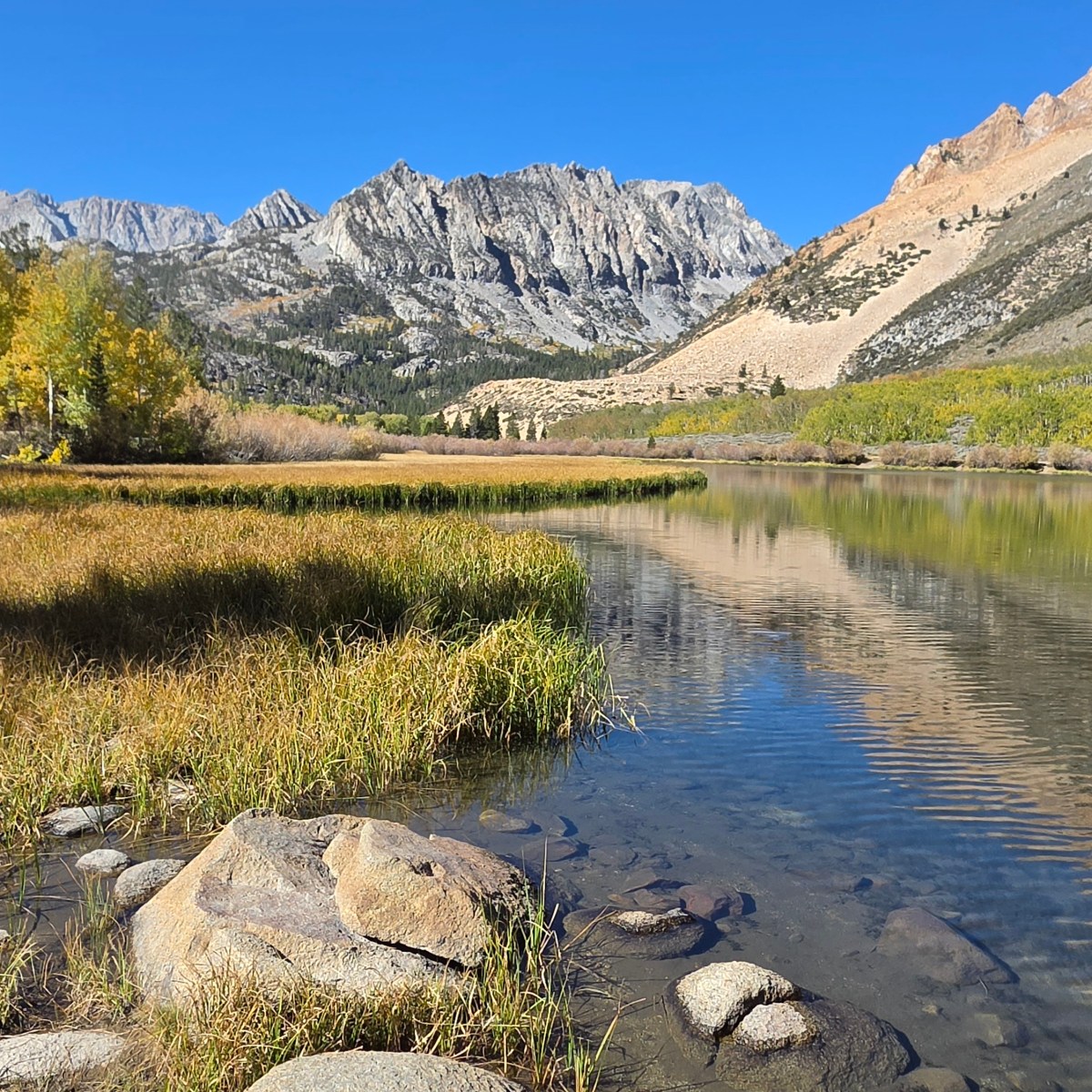 Month 191 – Calm before the&nbsp;Storm